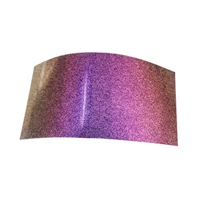 Chameleon pintura debido a la aparición de la pintura decorativa - Product Image 2