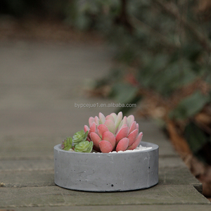 <span class=keywords><strong>Pot</strong></span> <span class=keywords><strong>de</strong></span> table en ciment mini rond, style industriel, texture originale, solide, épaissi, avec tapis antidérapant, respirant et respectueux des racines - Product Image 3