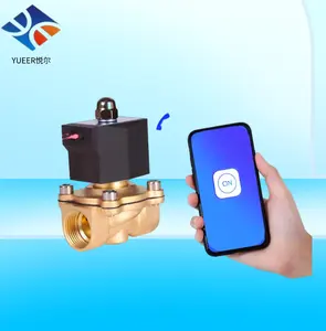 Wifi thông minh điều khiển từ xa các van trên điện thoại di động wifi Brass solenoid van nước van