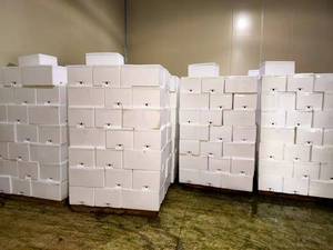 <span class=keywords><strong>Broccoli</strong></span> freschi di alta qualità <span class=keywords><strong>broccoli</strong></span> freschi di fabbrica a basso prezzo - Product Image 6