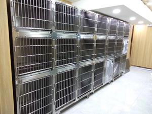Fabrication personnalisée 304 acier inoxydable animal chien chat clinique vétérinaire hôpital <span class=keywords><strong>cage</strong></span> d'hospitalisation pour animaux de compagnie chenil à vendre - Product Image 2