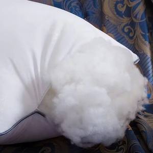 OEM ODM yüksek kalite en toptancı rahat ev beyaz yumuşak Polyester yastık yastık kılıfı ile - Product Image 5