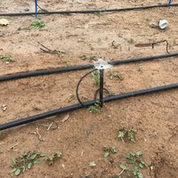 Tuyau en PE flexible, résistant à la corrosion et à bas prix pour l'irrigation des jardins agricoles, système d'irrigation économiseur d'eau