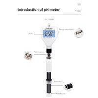 Testeur de pH de la peau, acidimètre, sonde remplaçable, écran LCD