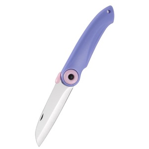 Folding Stainless Steel <b>Fruit</b> Knife 8.5 In Blade Portable Foldable Kitchen <b>Tool</b> For Peeling And Cutting <b>Vegetables</b> And Fruits - Product Image 1