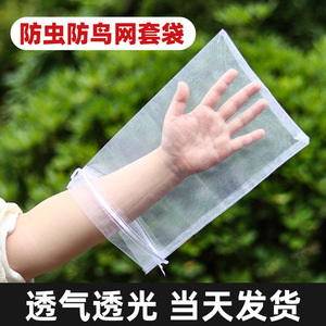 Fruit <b>Mesh</b> Bag 10x20x30cm Anti Uv <b>Insect</b> Bird Protection For Grape Fig Melon Pomegranate Orange Agricultural Planting - Product Image 3