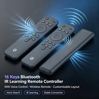 Control Remoto de 16 Teclas con Aprendizaje IR y Control por Voz, OEM ODM, Personalizable, Compatible con Diseño y Desarrollo Independientes