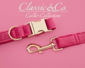 Ensemble collier et laisse pour chien en velours uni personnalisé avec nom d'animal gravé, clochette et nœud en velours pêche, livraison gratuite - Product Image 4