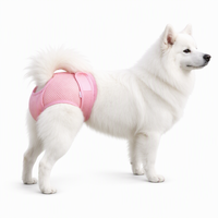 Culotte absorbante réutilisable pour chienne, respirante en maille, super absorbante, avec trou pour la queue, ajustable pour toutes les tailles