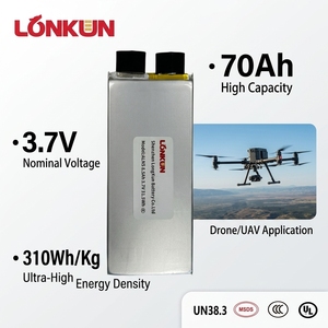 Longkun 28Ah 6S 22.2V High Density <b>Battery</b> Pack 285Wh/kg for Commercial <b>Drones</b> - Product Image 1