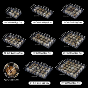 Пластиковый блистерный лоток для перепелиных яиц на 20, 24, 30 яиц, прозрачный, одноразовый, с крышкой, для упаковки куриных и перепелиных яиц - Product Image 4