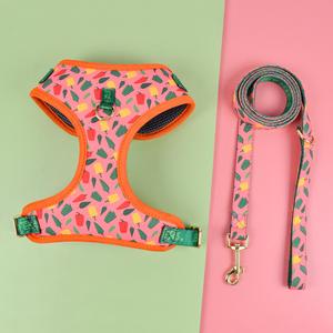 MIDEPET - Juego de Correa y Arnés de Aleación de Lujo para Perro, Regalo de Año Nuevo y San Valentín, Accesorio de Poliéster, Artículos Esenciales para Viajes de Perros, Talla Mediana - Product Image 4