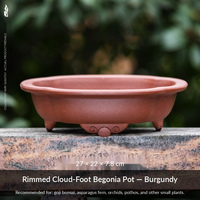 Pot de fleurs en résine, design minimaliste rustique et épuré, à trois pieds, en forme de lotus, bassin peu profond, contrôle des racines, grand format pour jardin et maison