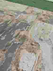 Life1996 Ấn Độ mùa thu mộc mạc <span class=keywords><strong>Slate</strong></span> đá gạch trang trí tường ốp nội thất bên ngoài mặt tiền phòng tắm sàn - Product Image 6