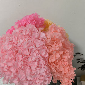 Fornitura diretta di fabbrica Anna palla fiori eterni conservati Anna ortensia fiore - Product Image 6
