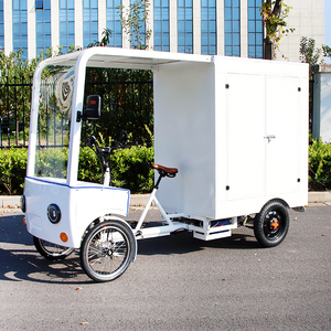<span class=keywords><strong>Bicicletta</strong></span> Elettrica <span class=keywords><strong>a</strong></span> Quattro <span class=keywords><strong>Ruote</strong></span> per Consegne Express, Cargo Bike <span class=keywords><strong>a</strong></span> Pedale, <span class=keywords><strong>Bicicletta</strong></span> Elettrica <span class=keywords><strong>a</strong></span> <span class=keywords><strong>4</strong></span> <span class=keywords><strong>Ruote</strong></span> per Adulti con Carico Pesante - Product Image 4