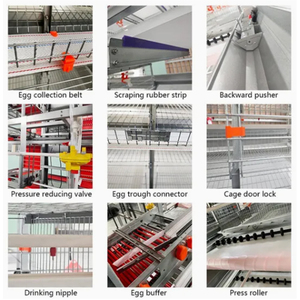 Cages à poulets en batterie de type H, galvanisées, durables, structure <span class=keywords><strong>RTL</strong></span>, capacité de 1000 poulets, cages à poulets à vendre - Product Image 6