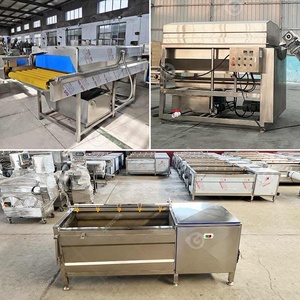 Máquina Comercial de Última Generación para Lavar y Pelar Frutas, <span class=keywords><strong>Verduras</strong></span>, Yuca y Rábanos para Pequeños Agricultores - Product Image 2