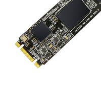 SSD M.2 SATA berkecepatan tinggi 256GB/512GB/1TB untuk Laptop