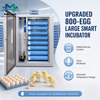 Incubateur automatique 800 œufs avec rotation à 360°, double alimentation AC220V DC12V de secours pour l'éclosion de poulets, canards, oies, cailles OEM/ODM
