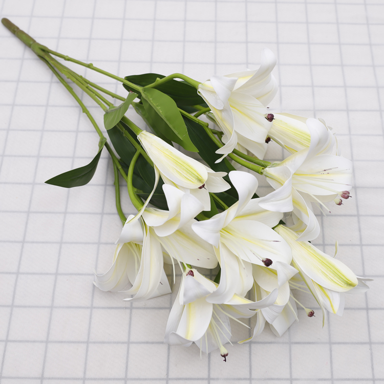 Blanc