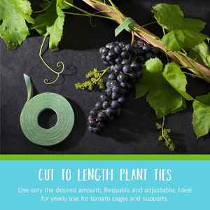 Attaches réglables pour plantes de la marque For Brand |   Ruban de jardin vert de 75 pieds x 1/2 pouce |   Support de plante réutilisable à découper sur mesure avec fermeture auto-agrippante, écologique - Product Image 3