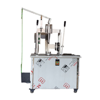 Machine à éplucher la peau de noix de coco commerciale entièrement automatique manuelle Machine à éplucher la peau de noix de coco tendre verte fraîche