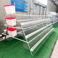 Nouvelle cage à poulets en acier galvanisé durable en forme de A, 4 niveaux, système automatique pour ferme avicole commerciale, 1000 oiseaux, 7-10 ans