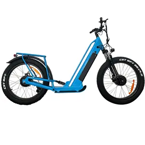 The Best Electric Bike And E-scooter Manufacturer Powerful And New-designed Electric Kick Scooter