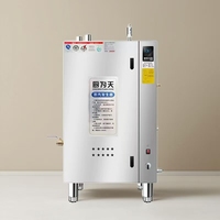 Générateur de vapeur commercial, machine à pulper le tofu, machine à cuire le pain vapeur, chaudière à gaz naturel liquéfié à économie d'énergie