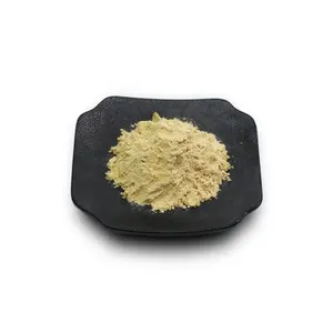 Chinese Dong Quai Angelica Sinensis Extract Powder Manufacturer Supply 100% Pure Extract from Angelica Sinensis