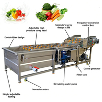 Ligne de production commerciale de nettoyage et de séchage des fruits et légumes, unité de nettoyage et de séchage des carottes, des dattes, des oranges, des pommes de terre, des poireaux