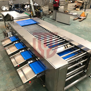 Machine de tri et de calibrage pour agrumes, oranges, mangues, avocats, citrons, kinnows, mangoustans, kiwis, tomates, pommes de terre, oignons, pommes, fruits du dragon et fruits de la passion - Product Image 6