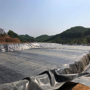 プールライナーエンジニアリングGeomembrane HDPEライナーコストスイミングHDPE - Product Image 5