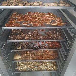 Bắp cải mất nước máy sấy forsythia đĩa máy sấy Radix isatidis Thiết bị sấy không khí nóng - Product Image 3