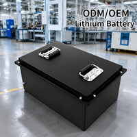 Batterie LiFePO4 rechargeable 24V/12V 50Ah-314Ah avec boîtier en acier robuste, BMS intelligent et application Bluetooth pour camping-car et climatisation de stationnement
