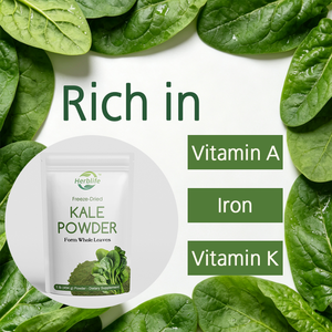 OEM/ODM Hot Selling Spinach Powder from Whole Leaf, Rich in Beneficial Thylakoids, <b>Multivitamins</b> and Chlorophyll, Support Immune - Product Image 3