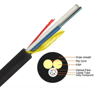Aérien extérieur non métallique ADSS ASU 8 hilo 48-core 96F SM G652D Double gaine 100M Dekam CE/ROHS certifié câble à fibre optique