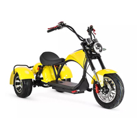 Triciclo eléctrico de tres ruedas, 1000w