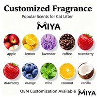Litière pour chat SKY PET 6L, écologique, biodégradable, parfumée à la lavande, à base de plantes, amidon de tofu, ingrédients de soja et de maïs, jetable aux toilettes, 2 kg