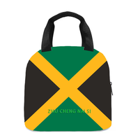 Sac à lunch isotherme avec drapeau d'Haïti, parfait pour les enfants, la maternelle, l'école, le travail, les voyages, les pique-niques, facile à transporter, unisexe
