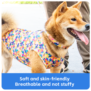 Kingspeed เสื้อผ้าสุนัขคอตตอนสุดหรูเป็นมิตรกับสิ่งแวดล้อมพิมพ์ลายได้ตามต้องการสำหรับฤดูกาลกลางแจ้งเครื่องแต่งกายสัตว์เลี้ยงน่ารัก - Product Image 2