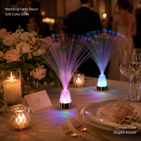 Lampe de table décorative LED à fibre optique de 13 pouces, à changement de couleur RGB, pour chambre à coucher, fonctionnant sur piles AAA, avec commande par interrupteur, pour fêtes et événements