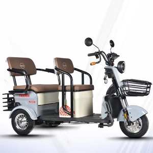 High Quality Wholesale Three <strong>Wheeled</strong> <strong>E</strong> Bikes Tricycle Trike 2 Passenger <strong>3</strong> Wheel Electric <strong>Scooter</strong> for Adults - Product Image 1