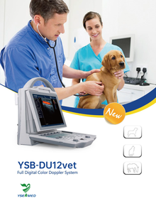 YSB-DU12V Geysendeerde Draagbare Veterinaire Echografie Kleur <span class=keywords><strong>Doppler</strong></span> Echografie Machine Dierenarts <span class=keywords><strong>3d</strong></span> 4d Gekleurde Veterinaire Echografie - Product Image 5
