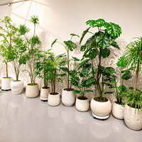 Arbre d'olivier artificiel sur pied en gros pour décoration intérieure de salle d'exposition et café, OEM