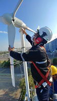 Le fabricant chinois d'éoliennes 3KW produit une éolienne horizontale 48V 96V 120V 220V 240V 380V 3000W