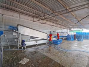 מכונת עיבוד שחיטה של עופות ODM OEM למפעל עיבוד עוף קפוא ומשחטה - Product Image 3