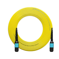 Cable de Fibra Óptica Multimodo MPO a MPO 24F OM3 Polaridad B de Baja Pérdida para Centro de Datos QSFP 40G 100G SR4 Troncal de Alta Densidad