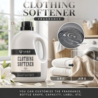 Ensemble OEM Handle Jug Mist Grey, Adoucissant textile liquide et Lessive liquide, Parfum longue durée, Fraîcheur, Produits de nettoyage